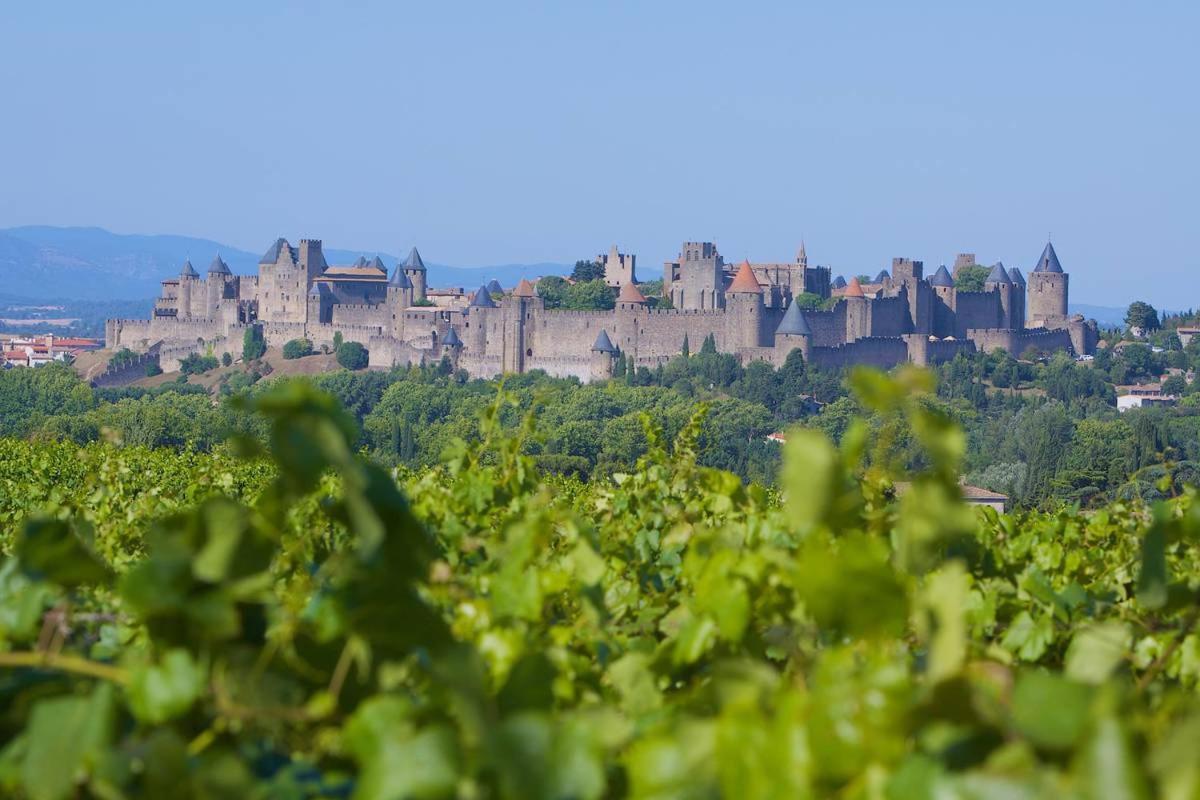 Tout Confort ! Calme, Climatisation, Vue Degagee, Ville ,Parking Gratuit, Ascenseur, Wifi Carcassonne Exterior photo