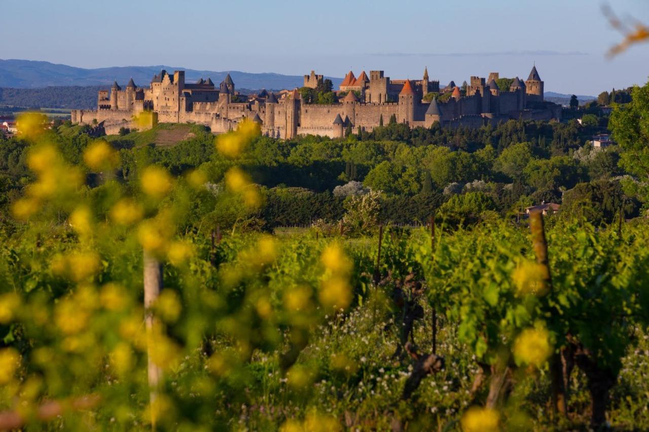 Tout Confort ! Calme, Climatisation, Vue Degagee, Ville ,Parking Gratuit, Ascenseur, Wifi Carcassonne Exterior photo