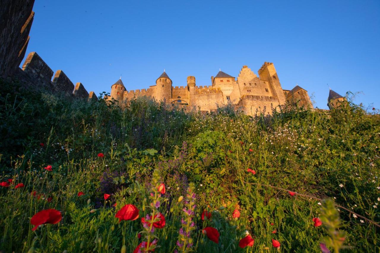 Tout Confort ! Calme, Climatisation, Vue Degagee, Ville ,Parking Gratuit, Ascenseur, Wifi Carcassonne Exterior photo